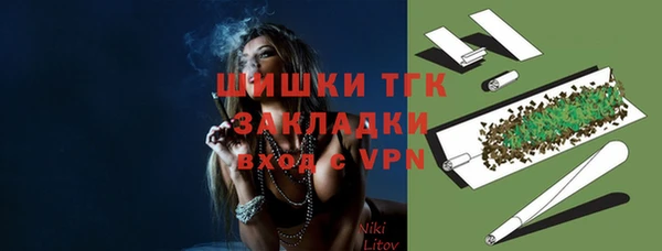 ешки Аркадак