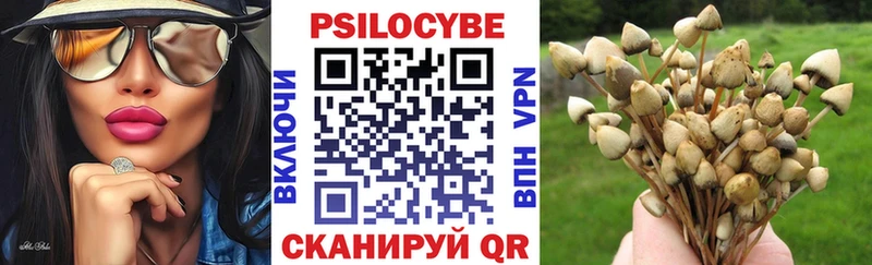 Псилоцибиновые грибы ЛСД  купить   omg ссылка  Кыштым 